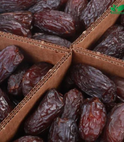 5kg pack of soft and juicy Medjool dates in export-quality packaging