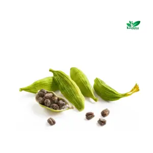 Cardamom