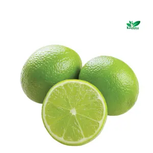 Lime 