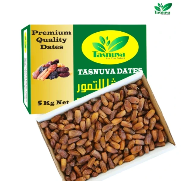 Daglet Nour Dates 5kg Algeria Retails & Wholesale Sale TasnuvaGroup