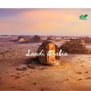 Saudi Arabia