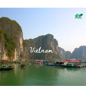 Vietnam