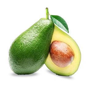 Avocado - Kenya Fruits- TasnuvaGroup Wholesale Product - TasnuvaGroup Wholesale Product