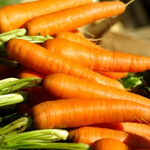 Carrots - China Vegetables- TasnuvaGroup Wholesale Product - TasnuvaGroup Wholesale Product