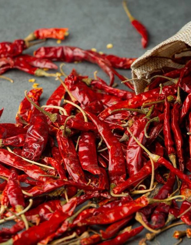 Dry Chili - India Spices TasnuvaGroup-Wholesale Product-Wholesale Market in bangladesh