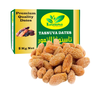 Premium quality Pakistan dates (Kurma) – Tasnuva Group Wholesale for bulk purchase