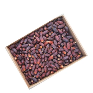 Maryam Dates - TasnuvaGroup Wholesale Product - TasnuvaGroup Wholesale Product
