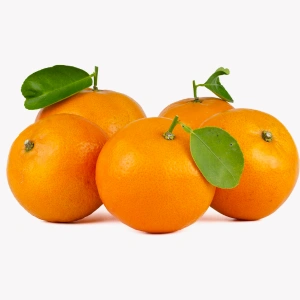 Orange - Egypt Fruits- TasnuvaGroup Wholesale Product - TasnuvaGroup Wholesale Product