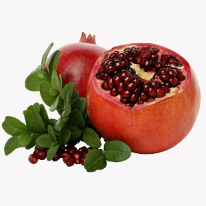 Pomegranate - India- TasnuvaGroup Wholesale Product - TasnuvaGroup Wholesale Product