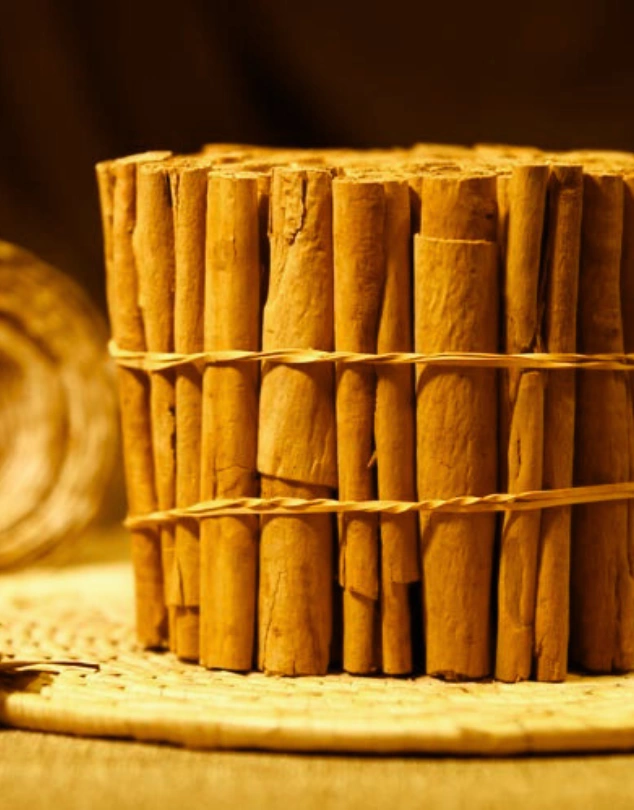 Sinnamon - Sri Lanka Spices TasnuvaGroup-Wholesale Product-Wholesale Market in bangladesh Premium