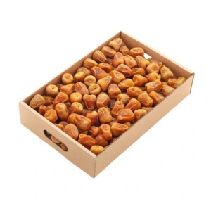 Sukkari Dates - Saudi Arabia - TasnuvaGroup Wholesale Product - TasnuvaGroup Wholesale Product