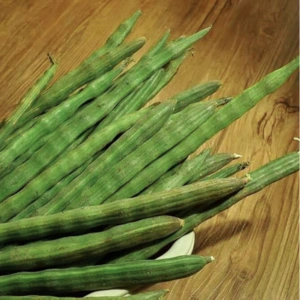 Drumsticks(Sojne) Tasnuva Group Wholesale Product in Bangladesh