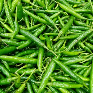 Green Chilli Tasnuva Group Wholesale Product in Bangladesh