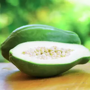 Green Papaya Tasnuva Group Wholesale Product in Bangladesh