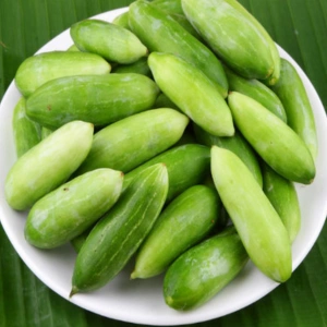 Parwal (Potol) Tasnuva Group Wholesale Product in Bangladesh