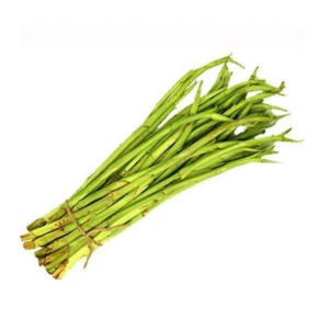 Taro Plants (Loti) Tasnuva Group Wholesale Product in Bangladesh