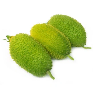 Teasle Gourd (Karol) Tasnuva Group Wholesale Product in Bangladesh