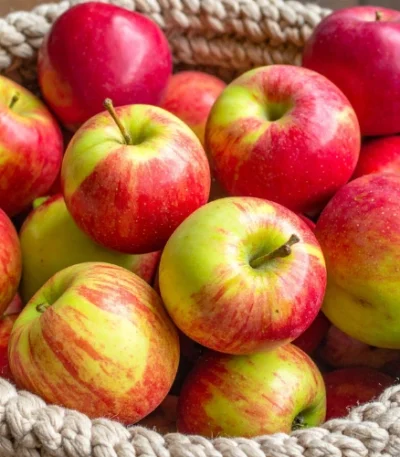 Fresh Apple Wholesale Price in Bangladesh