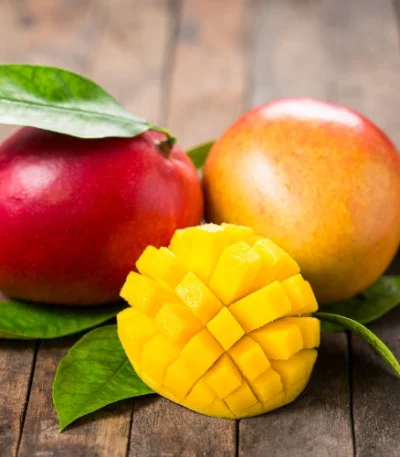 Fresh Mango Wholesale Price in Bangladesh