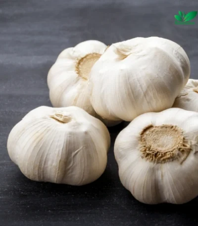 Tasnuva Agro Fresh Garlic Product of China Wholesale Price