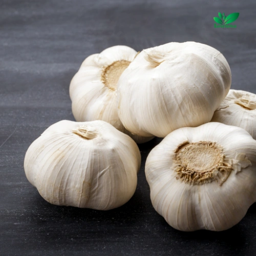 Tasnuva Agro Fresh Garlic Product of China Wholesale Price