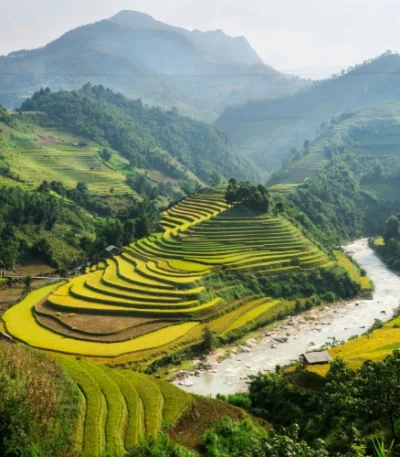 Vietnam travel website Tasnuva Group