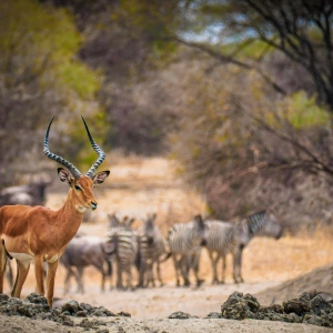 Kenya
